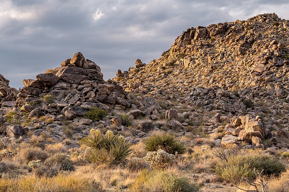 pedagogy/observation/refs/r04_sunset_boulders_a.jpg