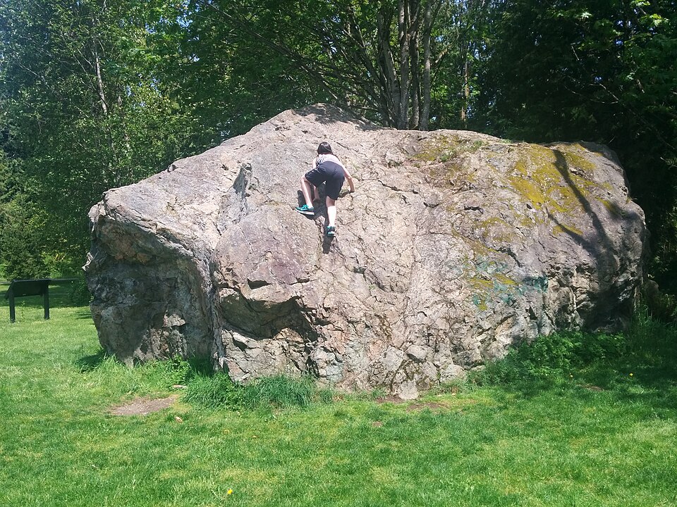 pedagogy/observation/refs/r13_erratic_in_lawn.jpg