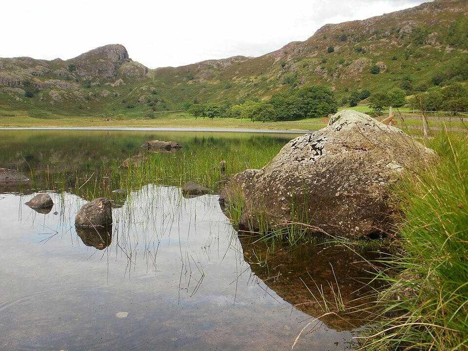 pedagogy/observation/refs/r19_tarn_bank_reflection.jpg