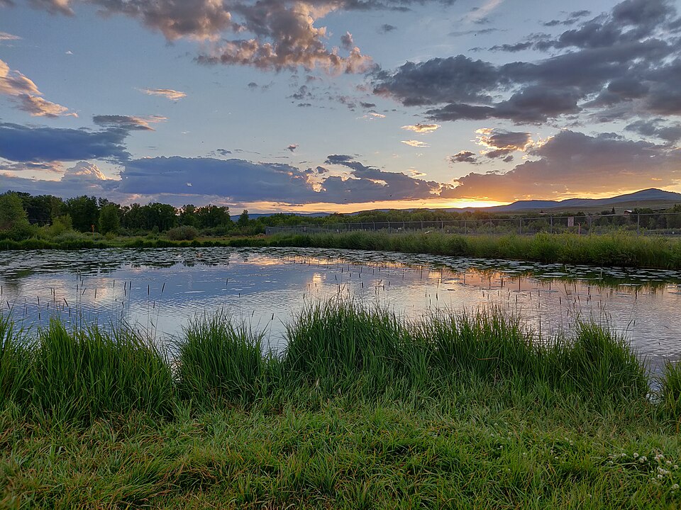 pedagogy/observation/refs/r20_grassbank_lake_sunset.jpg