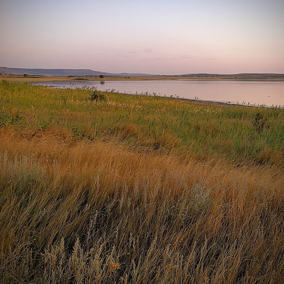 pedagogy/observation/refs/r22_lakeshore_grass_lowsun.jpg