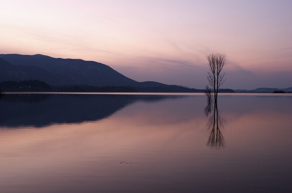 pedagogy/observation/refs/r25_misc_dusk_06.jpg