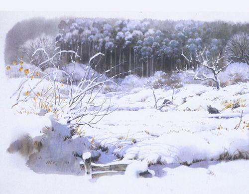 (manager scratchpad)/snow_board.jpg