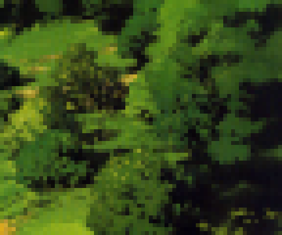 (manager scratchpad)/p1.png