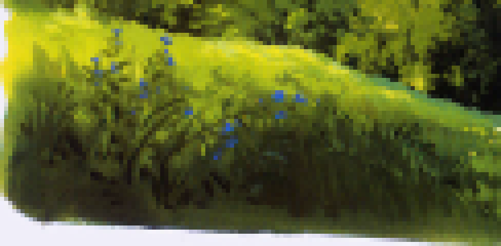 (manager scratchpad)/p4.png