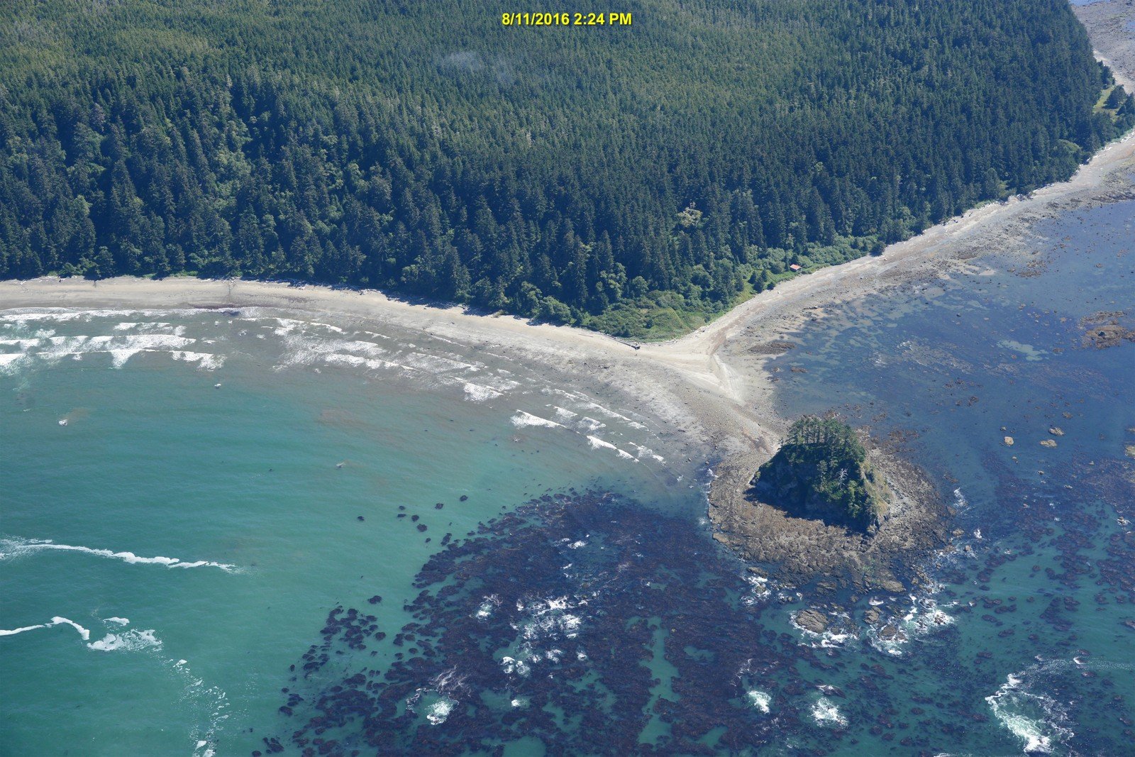 elements/sea/notes/cape_alava__060819_15434_2016_v.jpg