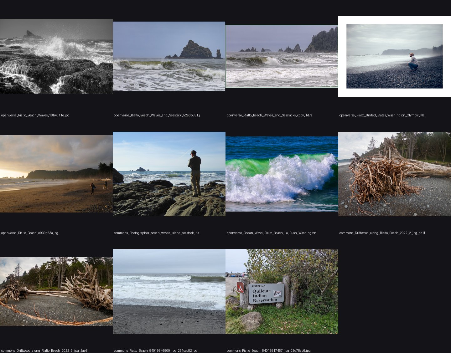 elements/sea/refs/ground/Rialto_Beach_waves/_sheet.jpg