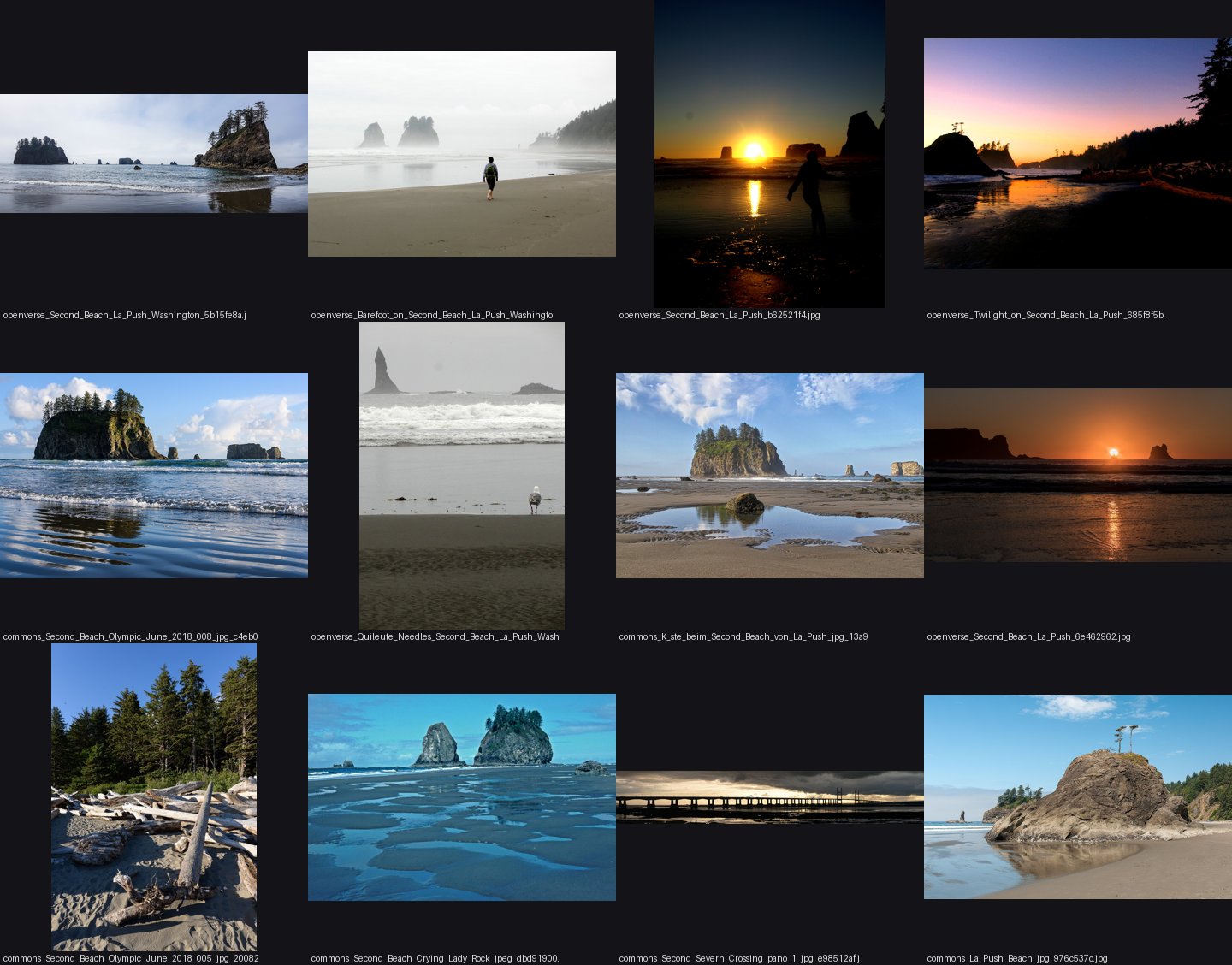 elements/sea/refs/ground/Second_Beach_La_Push/_sheet.jpg