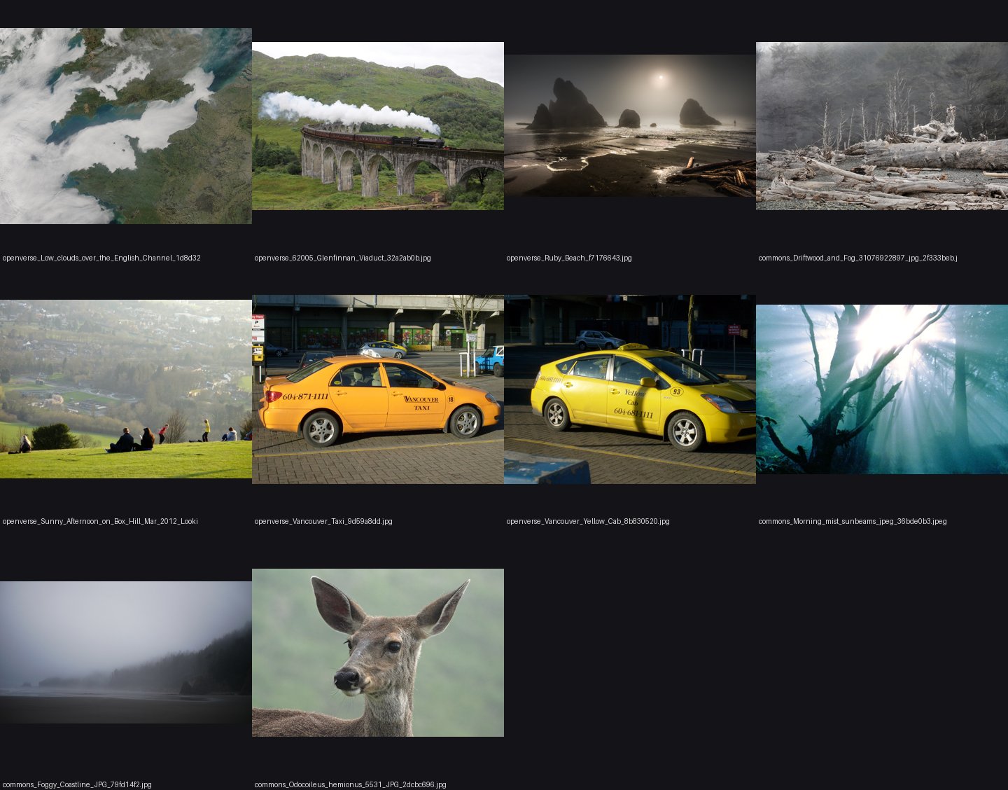 elements/sea/refs/ground/Olympic_coast_fog/_sheet.jpg