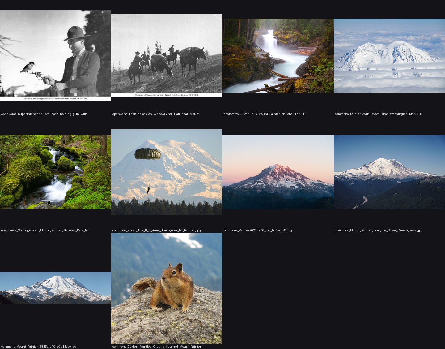 elements/snowpeak/refs/Mount_Rainier_September/_sheet.jpg