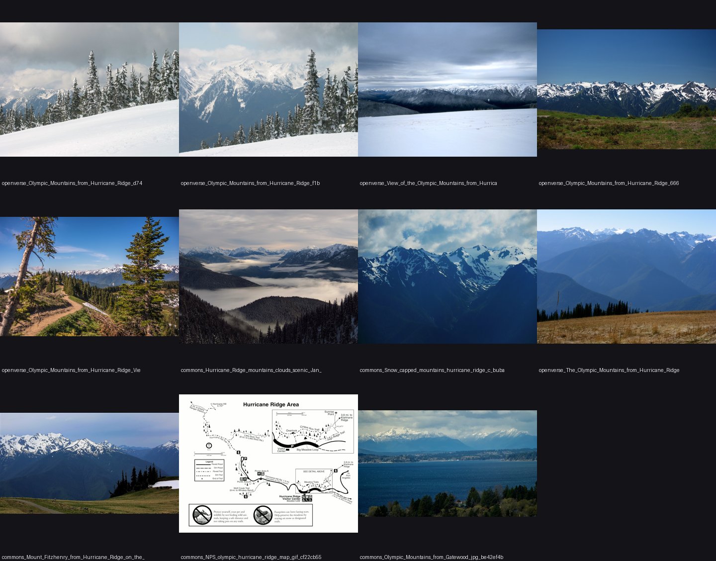 elements/snowpeak/refs/Olympic_Mountains_from_Hurricane_Ridge/_sheet.jpg