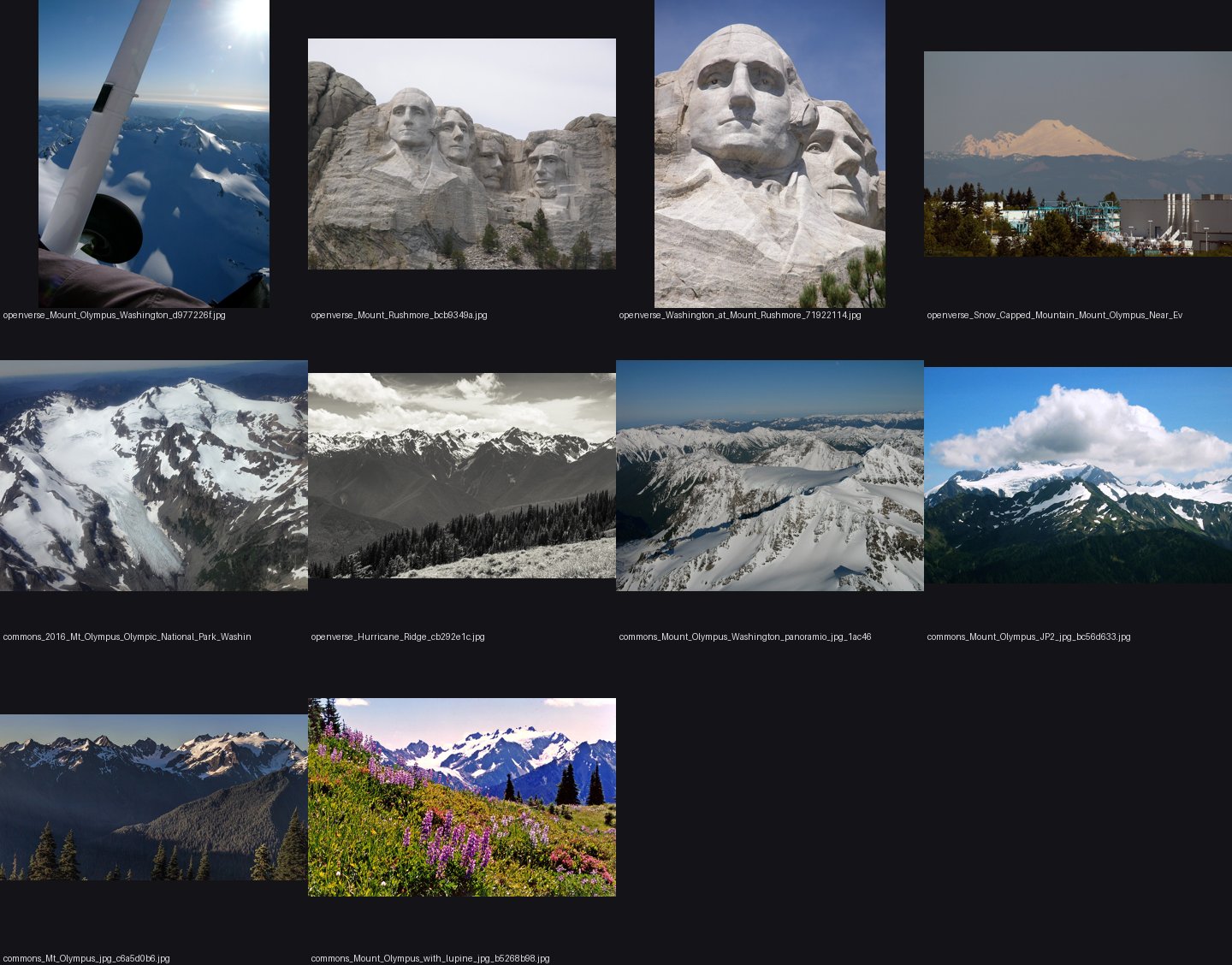 elements/snowpeak/refs/Mount_Olympus_Washington/_sheet.jpg
