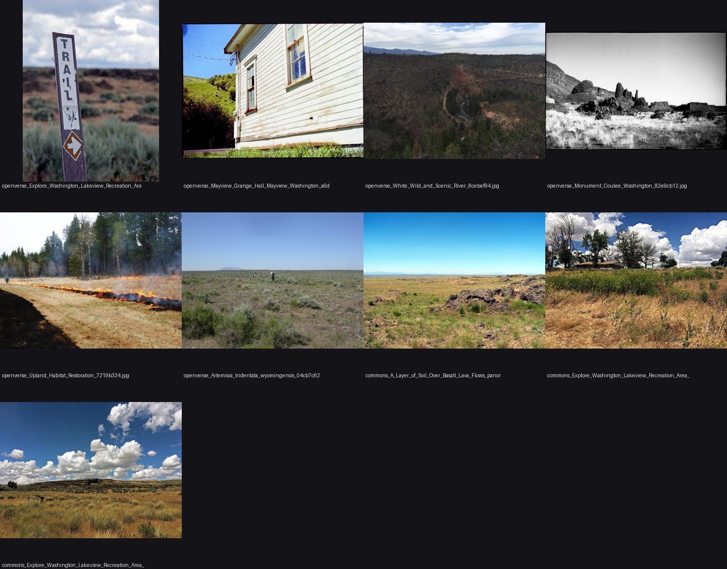 elements/steppe/refs/shrub_steppe_basalt/_sheet.jpg