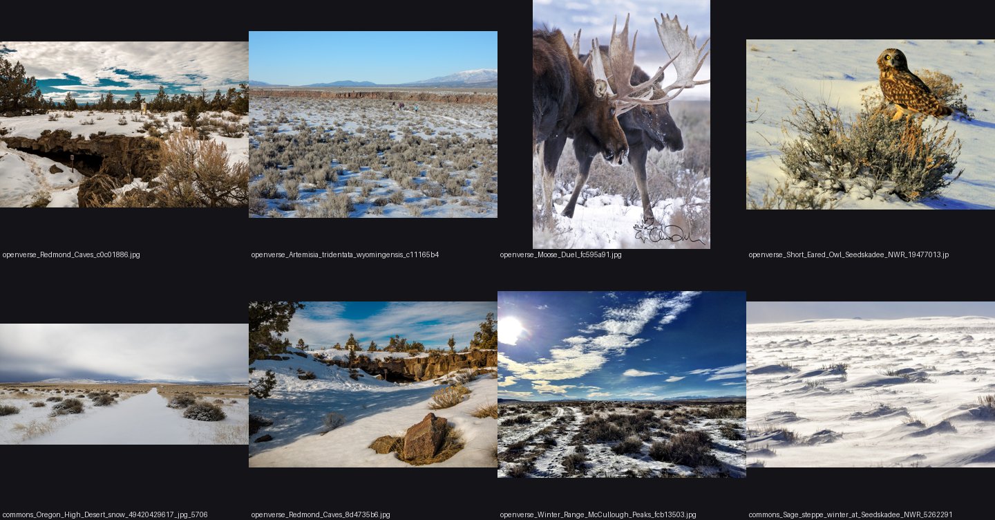 elements/steppe/refs/sagebrush_winter_snow/_sheet.jpg