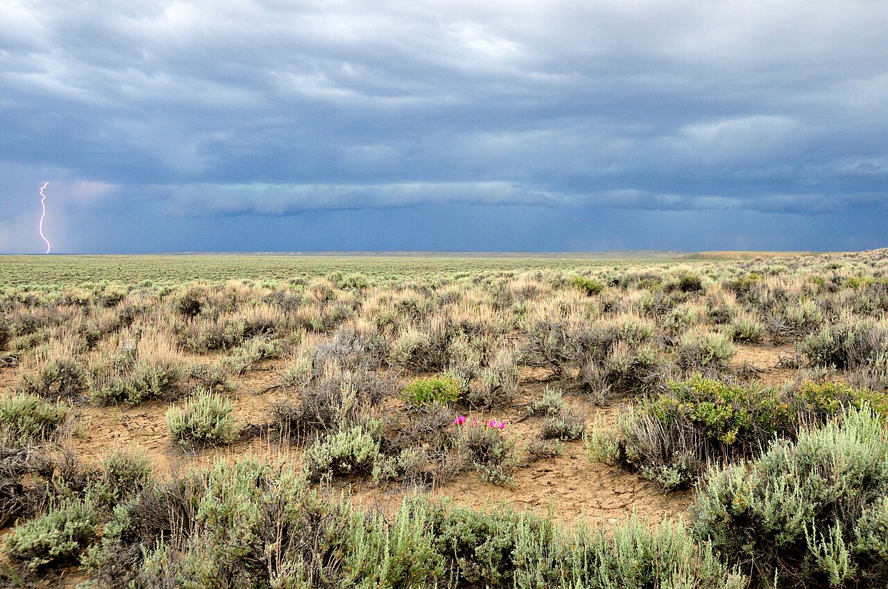 naturalist/plants/photos/sagebrush_steppe_Washington/commons_Sagebrush_Sea_adjacent_to_Seedskadee_National_Wi_e3282a3f.jpg
