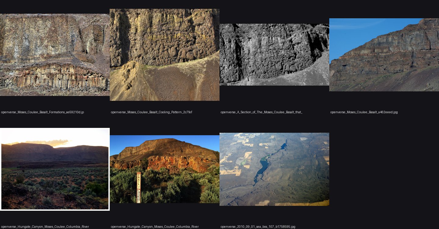 naturalist/plants/photos/Moses_Coulee_basalt/_sheet.jpg