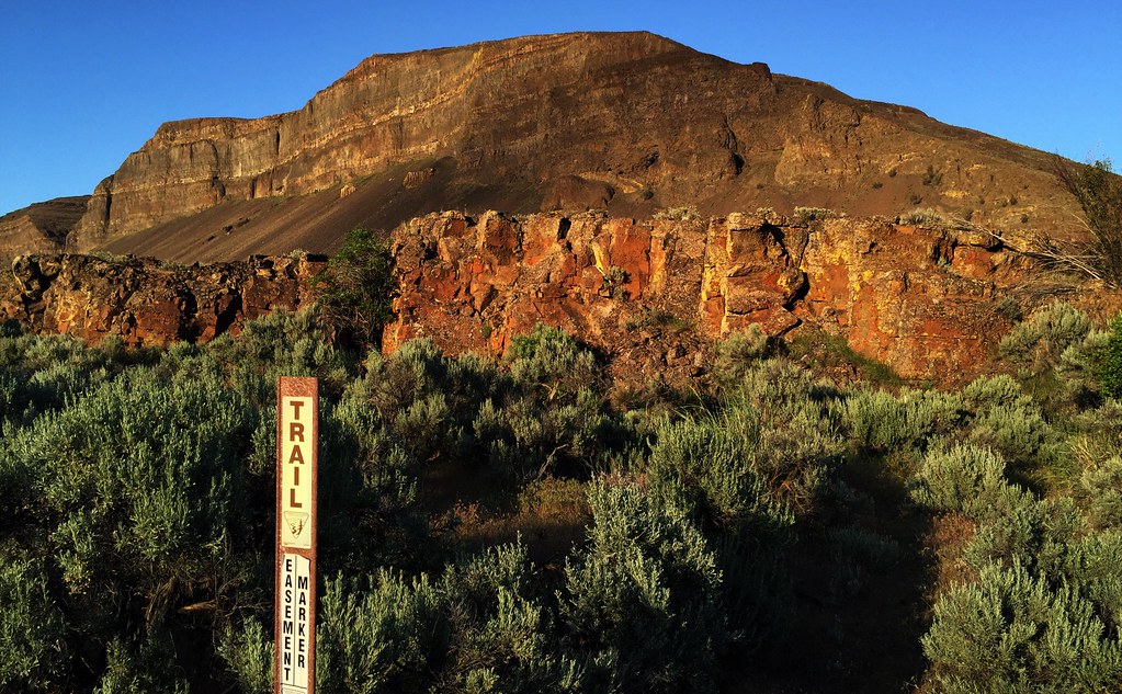 naturalist/plants/photos/Moses_Coulee_basalt/openverse_Hungate_Canyon_Moses_Coulee_Columbia_River_Plate_35216bab.jpg
