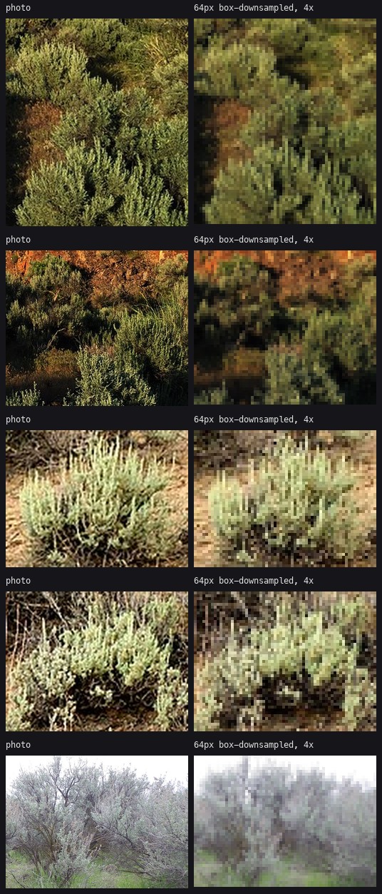 elements/steppe/refs/sage_ds_all.png