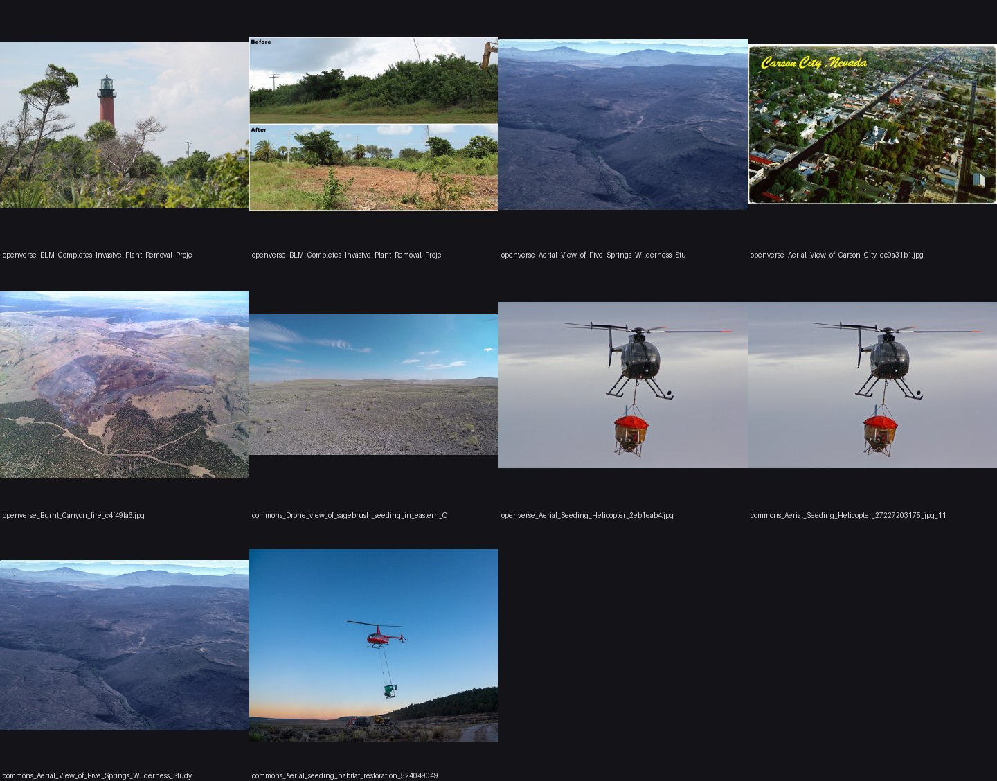 elements/steppe/refs/sagebrush_aerial/_sheet.jpg