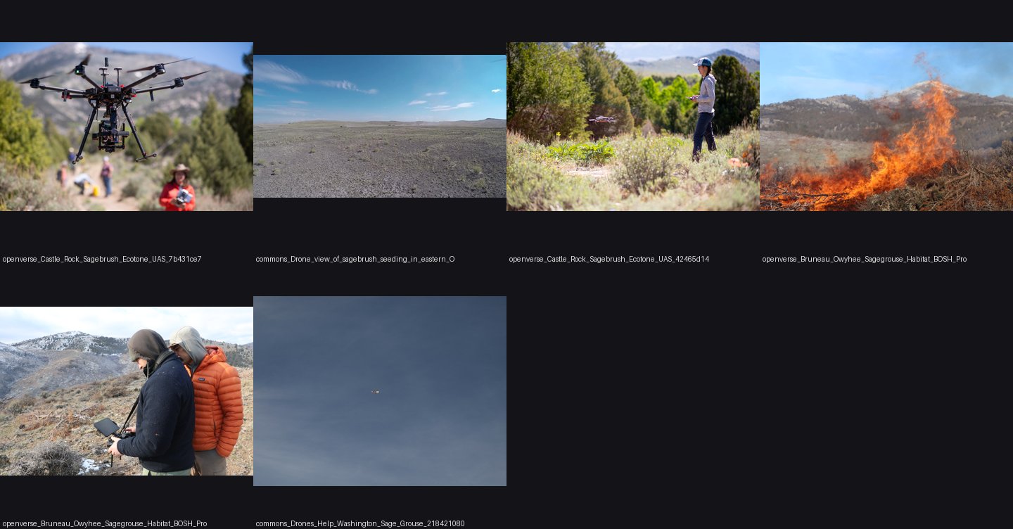 elements/steppe/refs/sagebrush_drone/_sheet.jpg