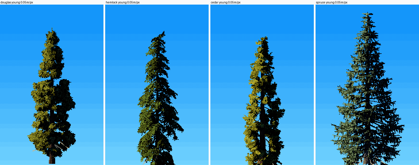 elements/conifers/stage1/n6.png