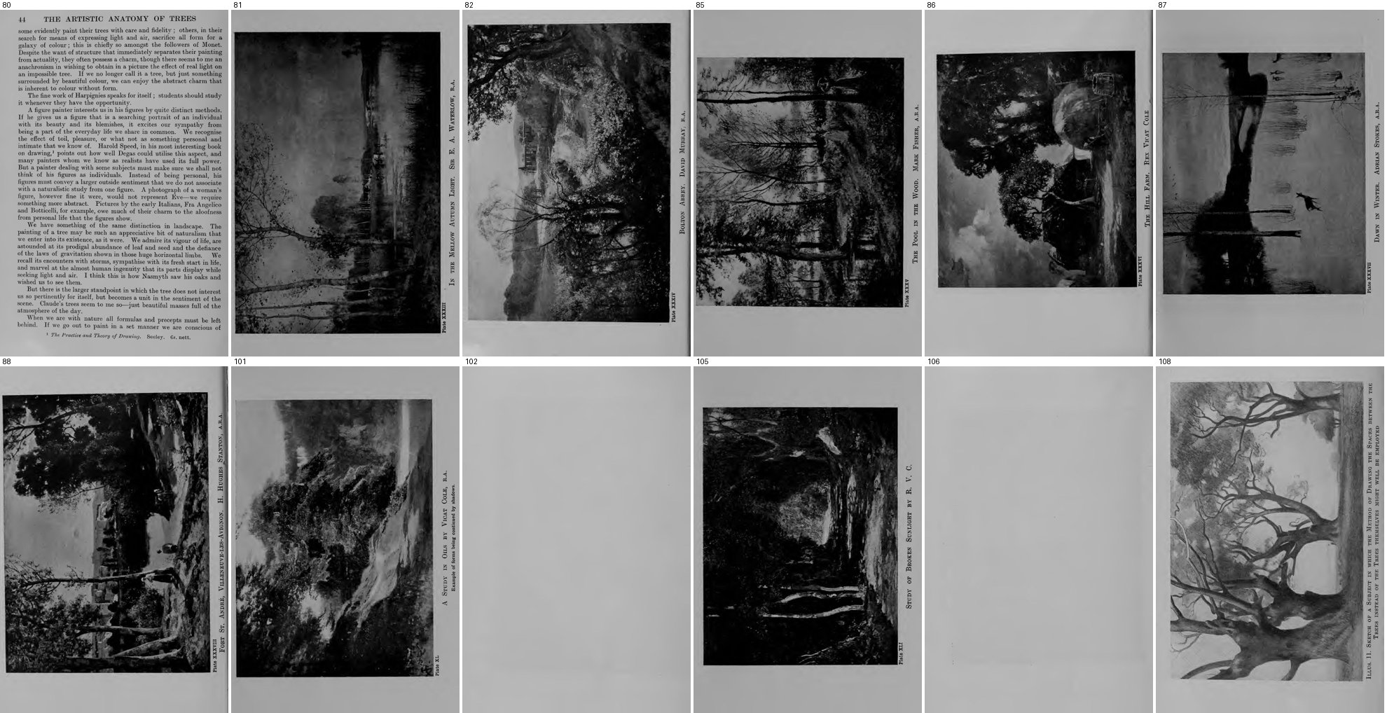 books/trees/tmp/plates3.jpg