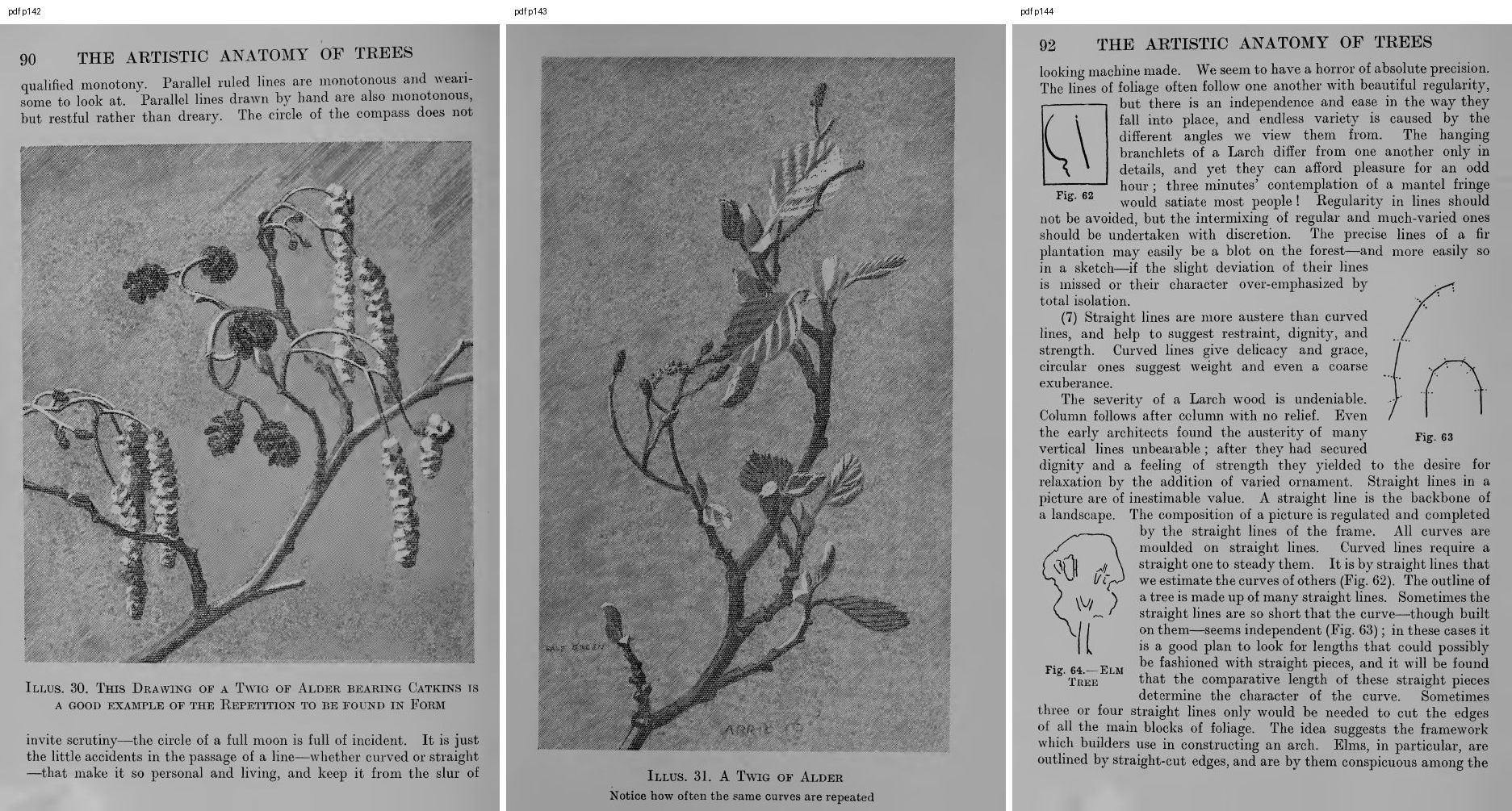 books/trees/pages/cole3/s142.jpg