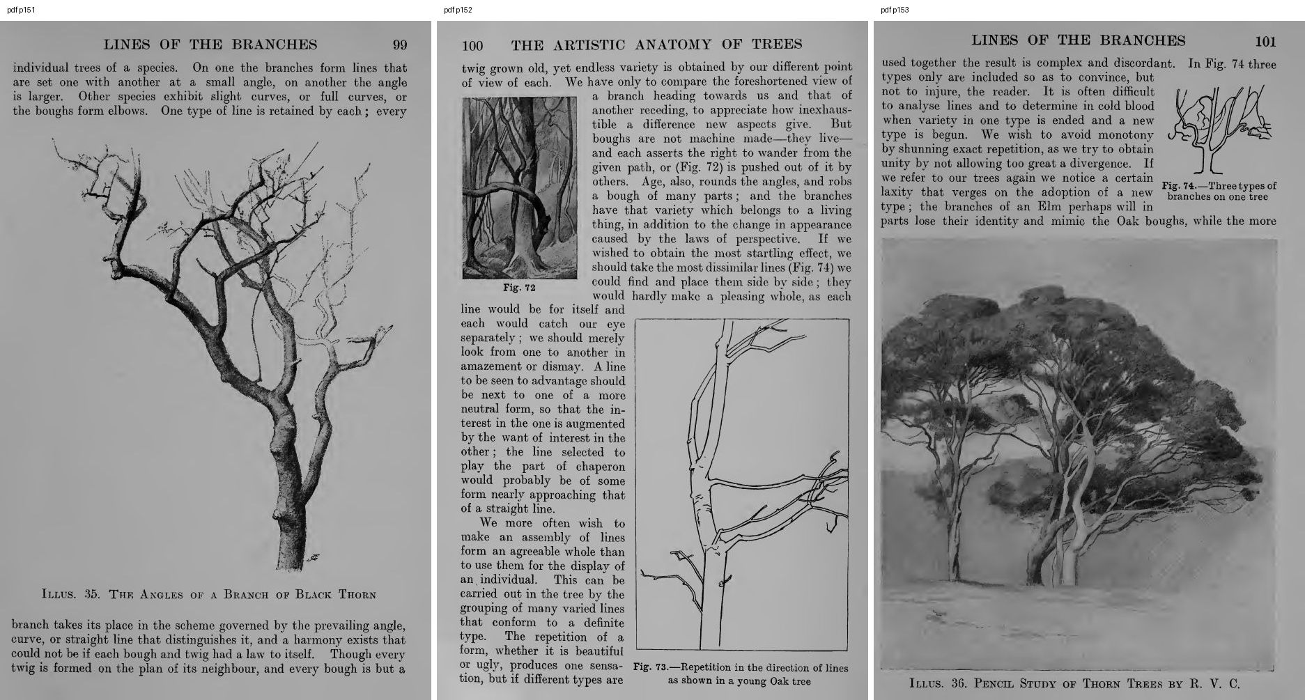 books/trees/pages/cole3/s151.jpg