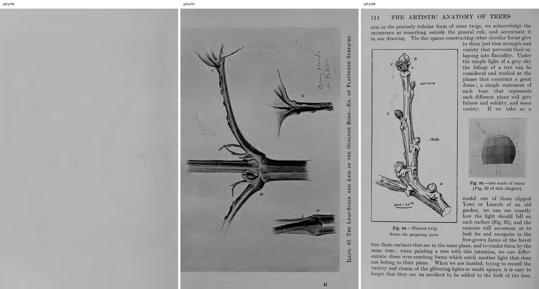 books/trees/pages/cole3/s166.jpg