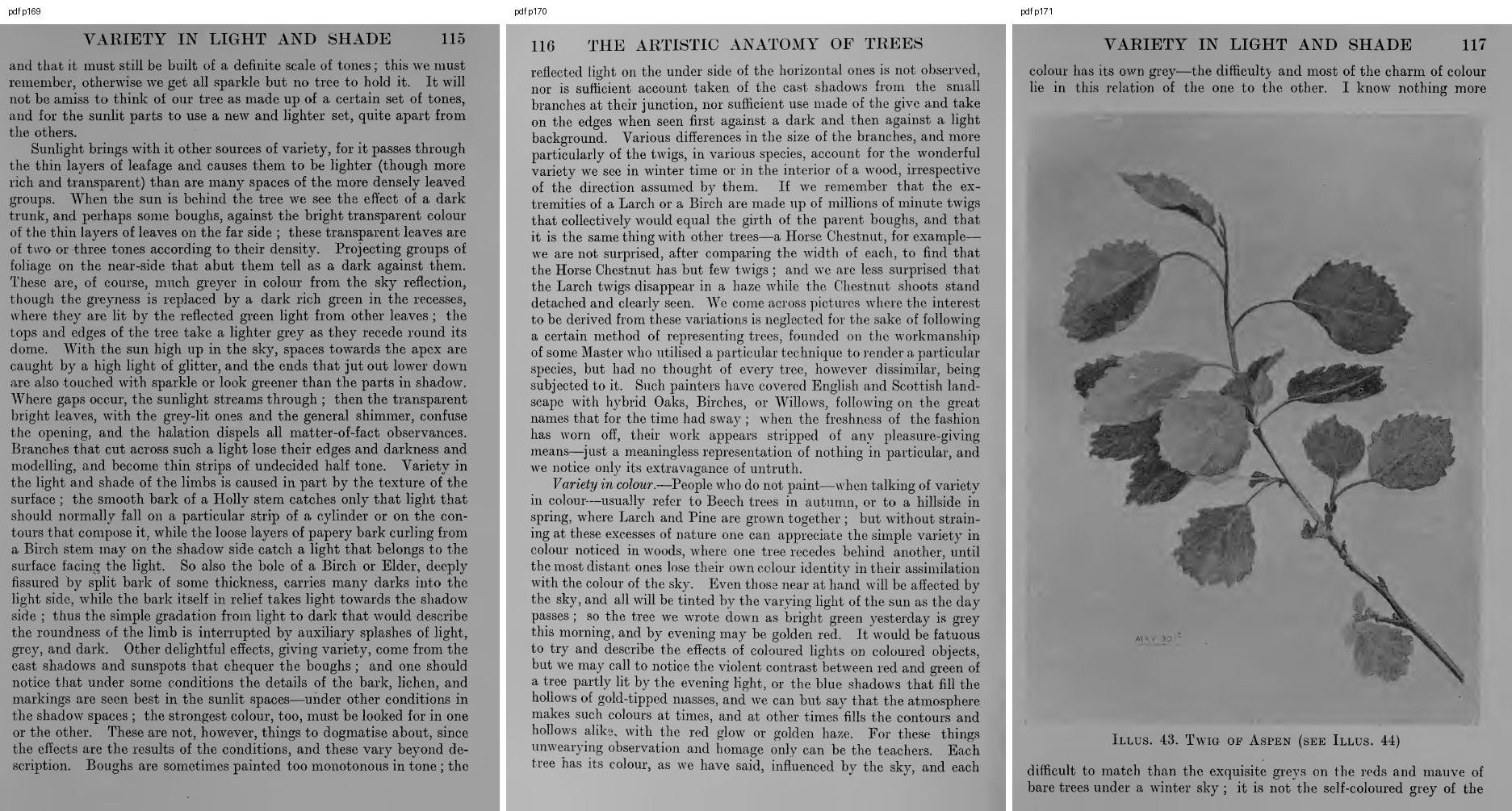 books/trees/pages/cole3/s169.jpg