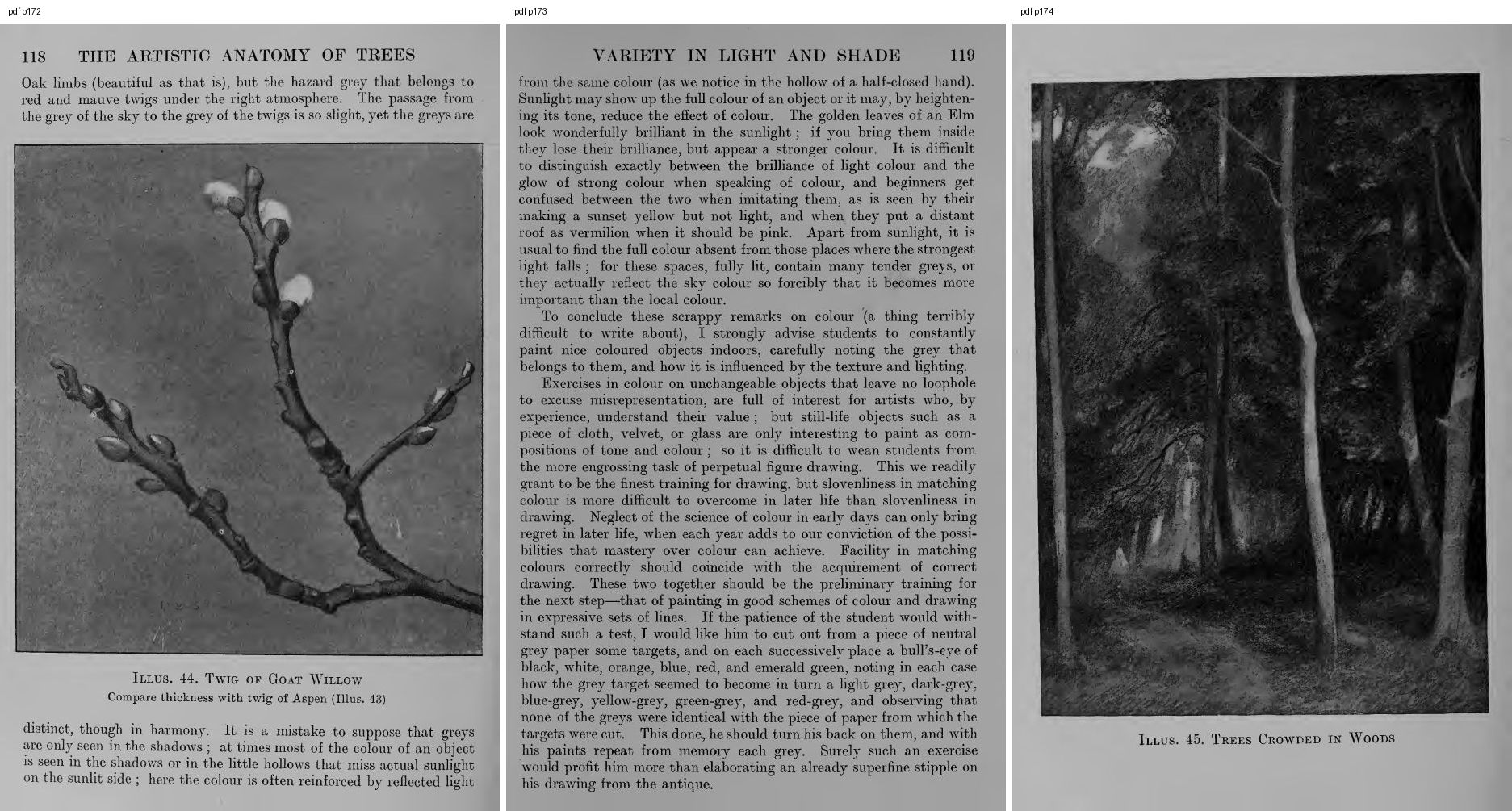 books/trees/pages/cole3/s172.jpg