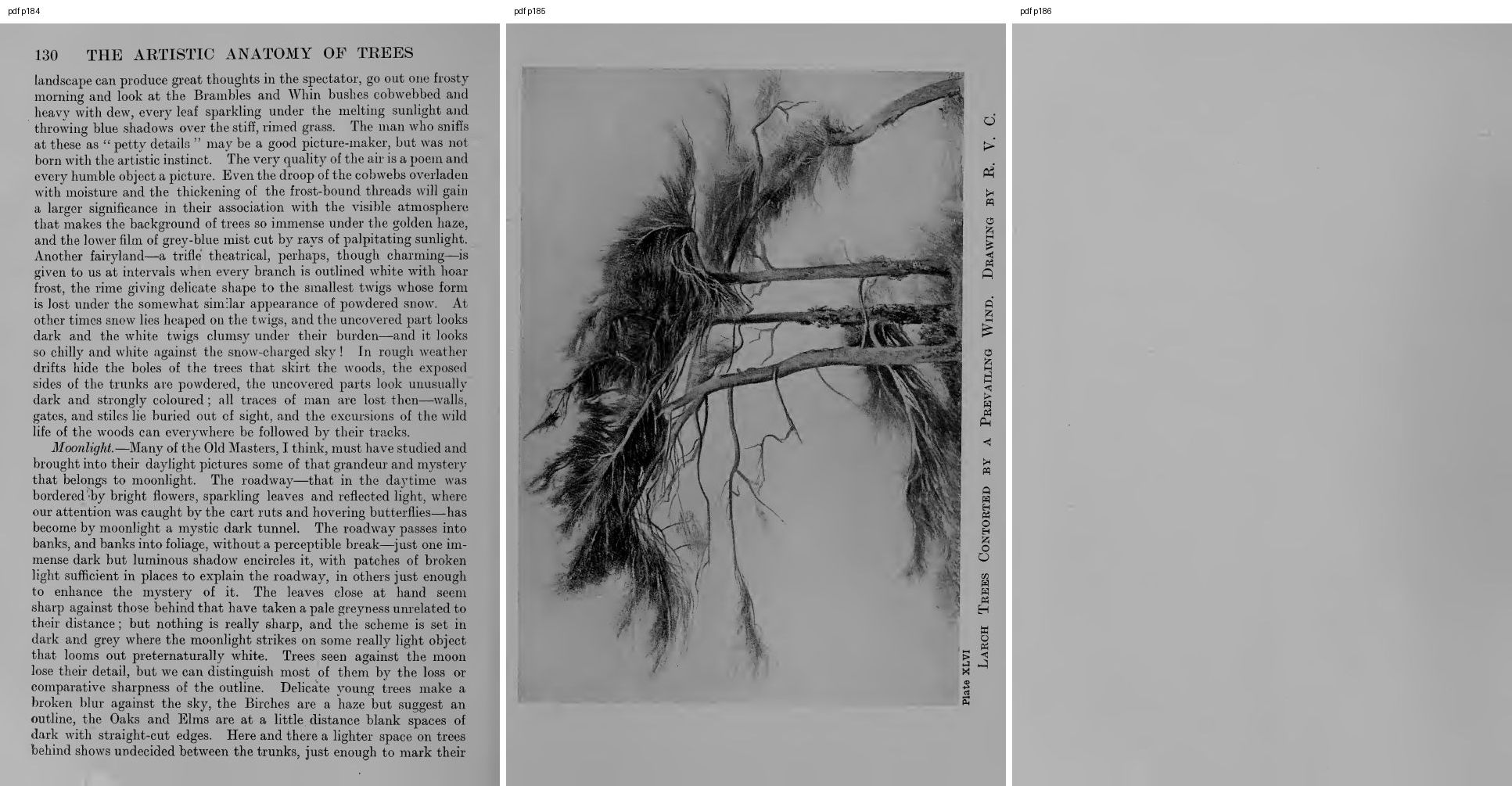 books/trees/pages/cole3/s184.jpg