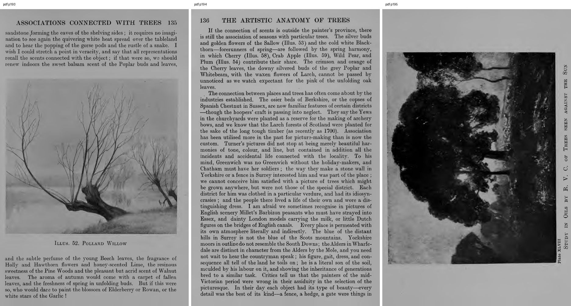 books/trees/pages/cole3/s193.jpg