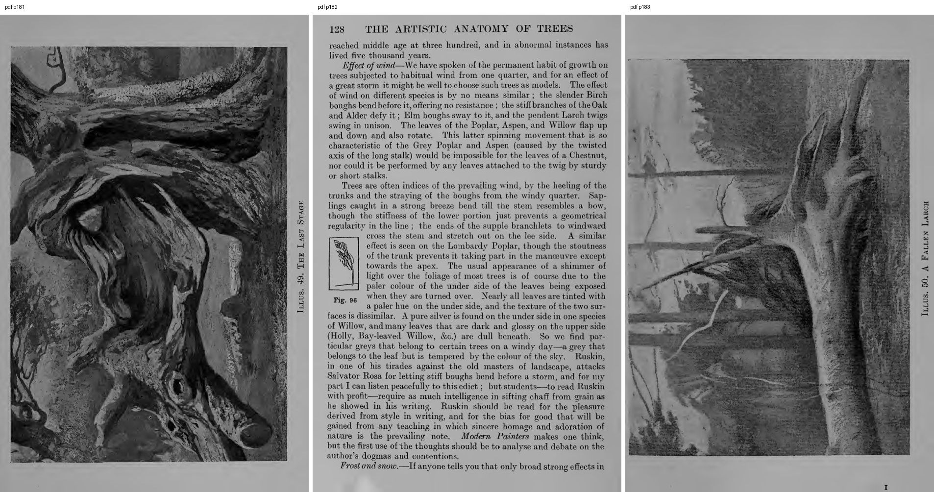 books/trees/pages/cole3/s181.jpg