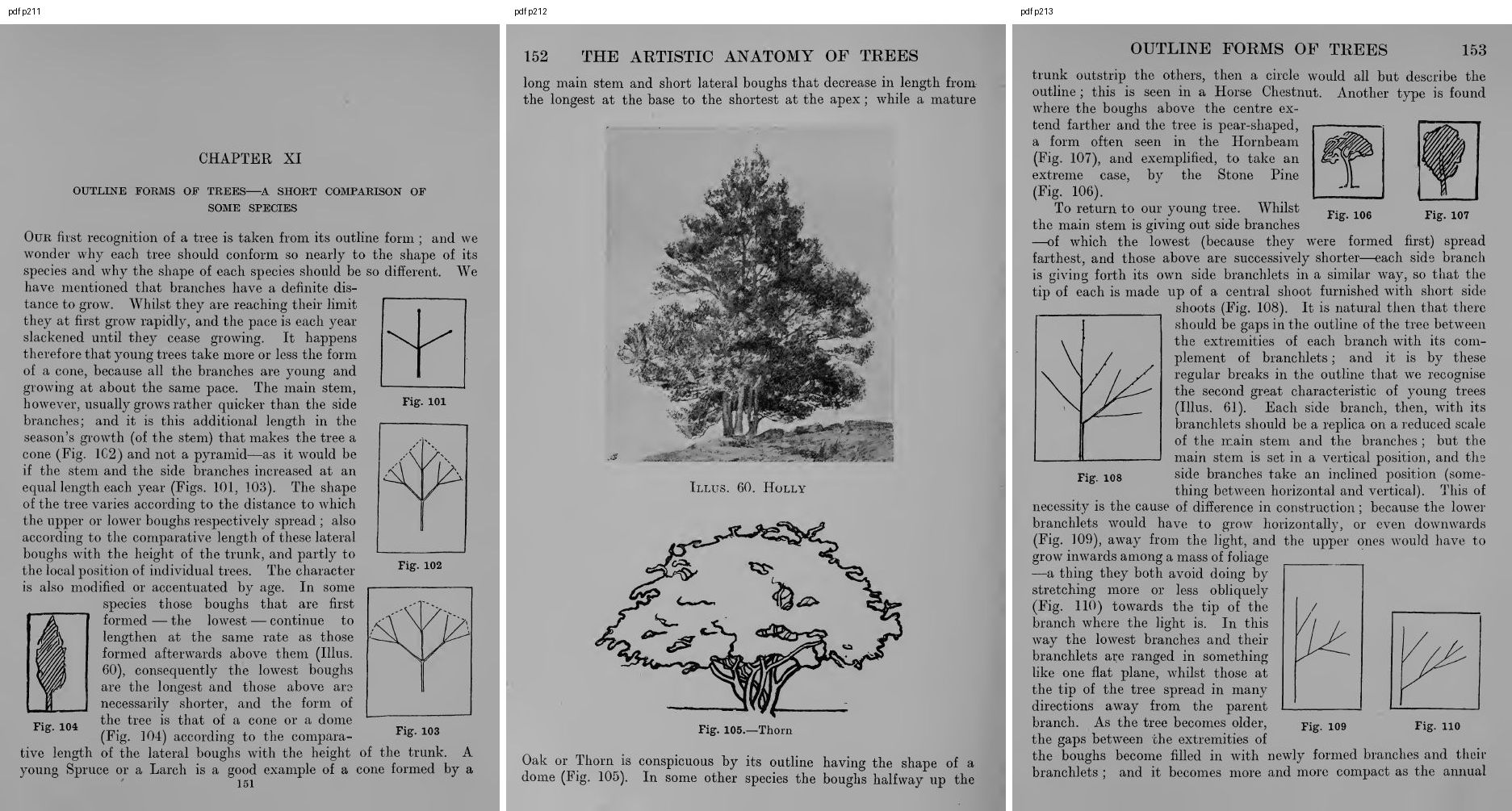 books/trees/pages/cole3/s211.jpg