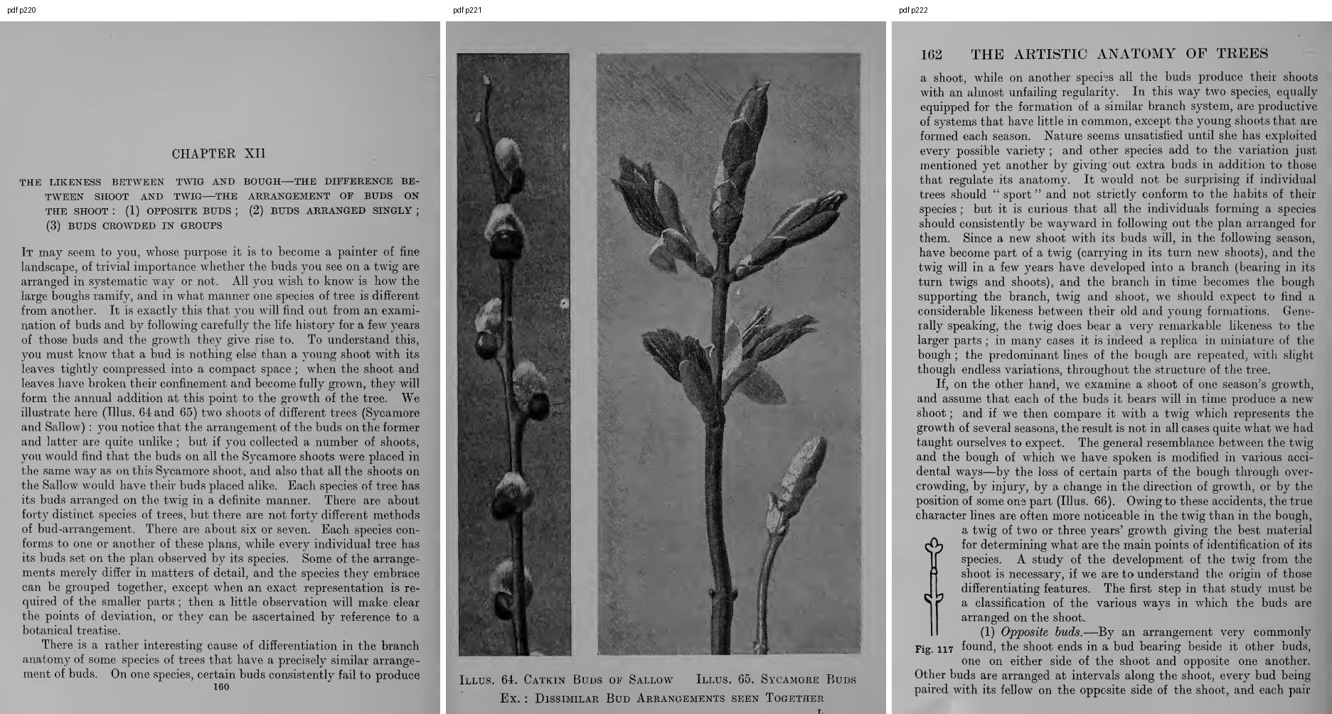books/trees/pages/cole3/s220.jpg