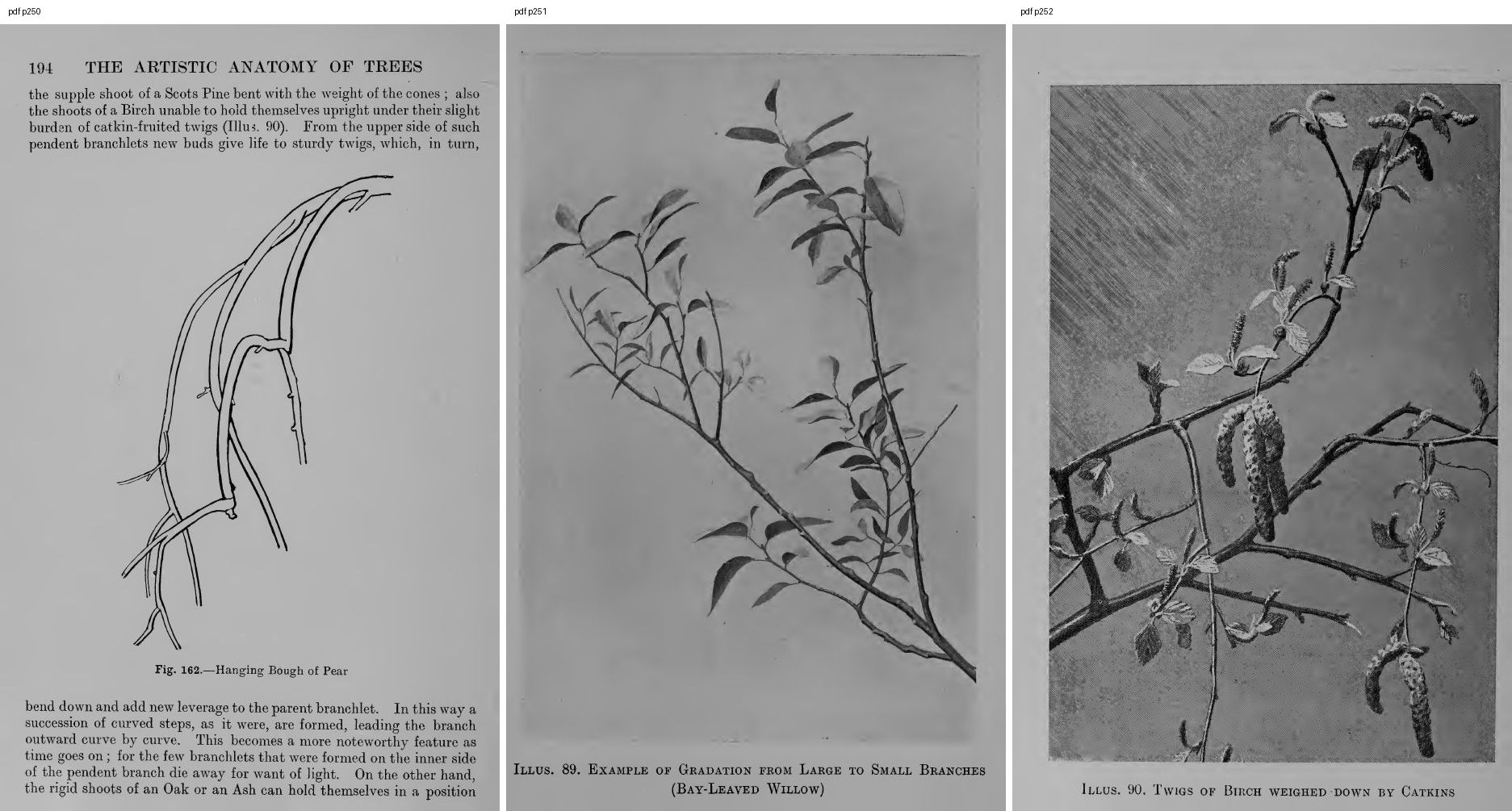 books/trees/pages/cole3/s250.jpg