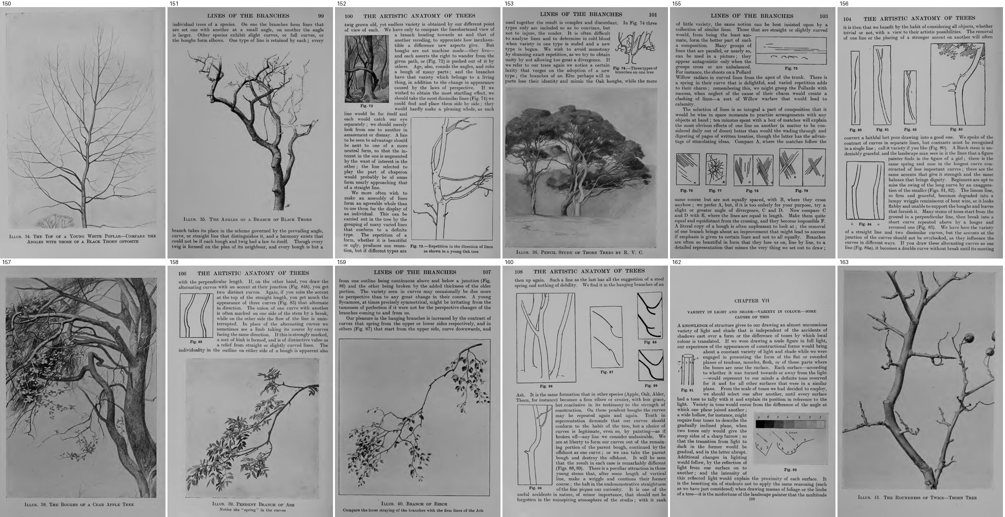 books/trees/tmp/gA.jpg