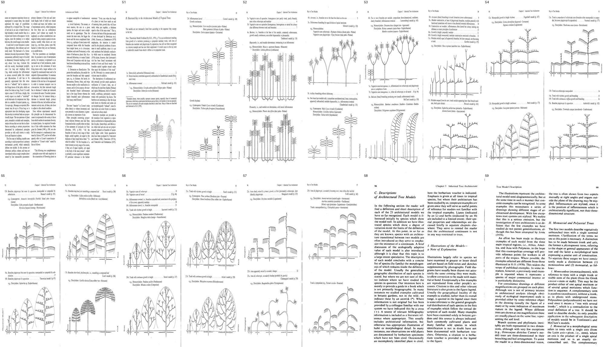 books/trees/tmp/h50.jpg