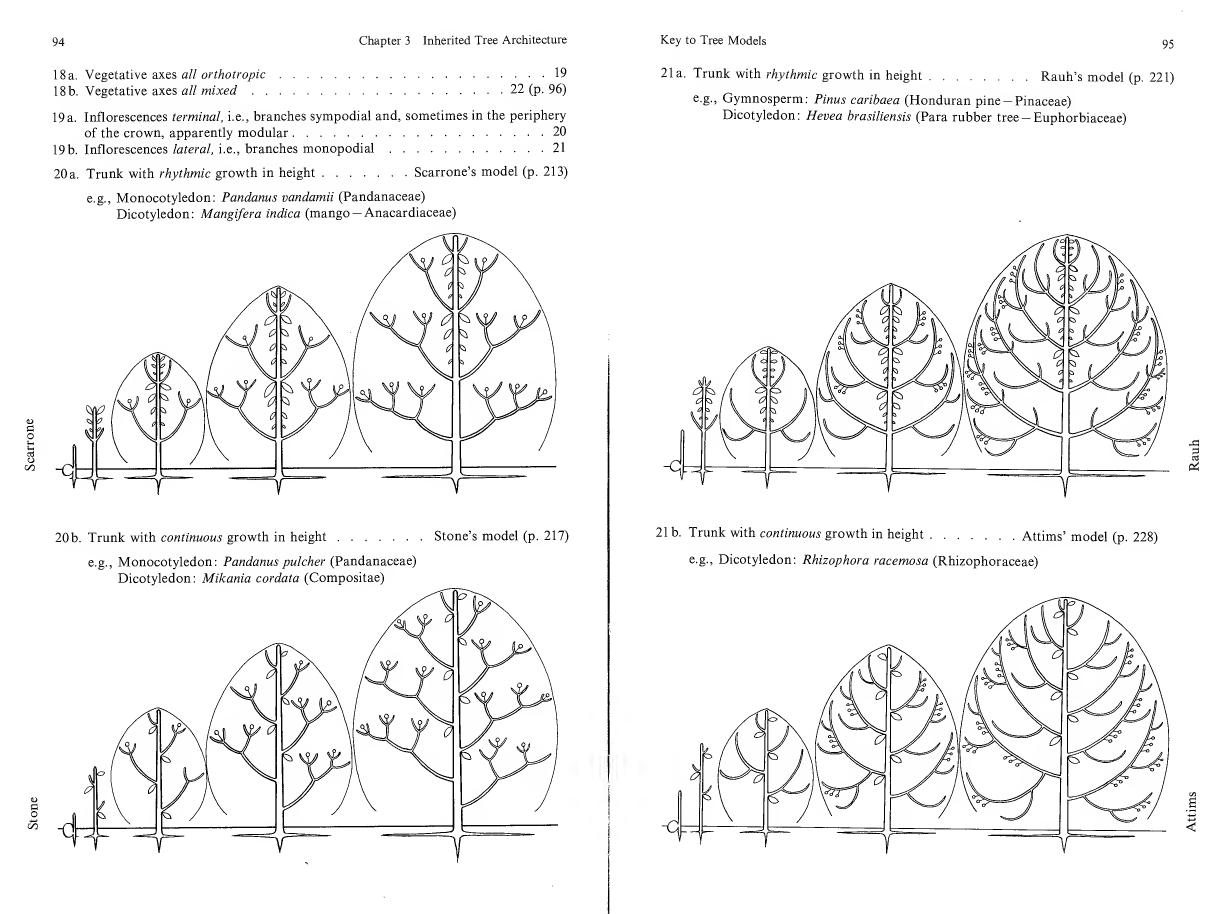books/trees/pages/halle/h-056.jpg
