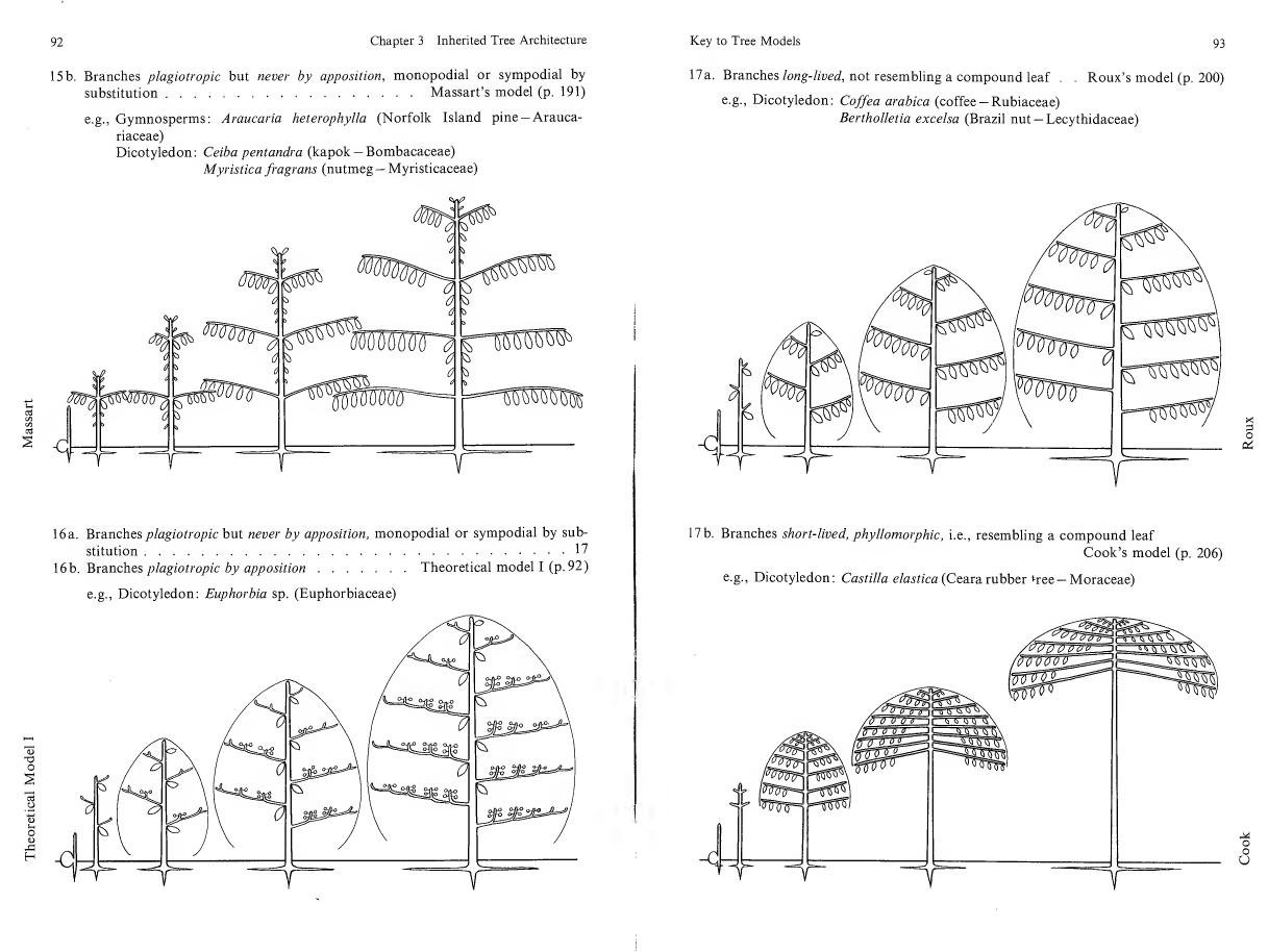 books/trees/pages/halle/h-055.jpg