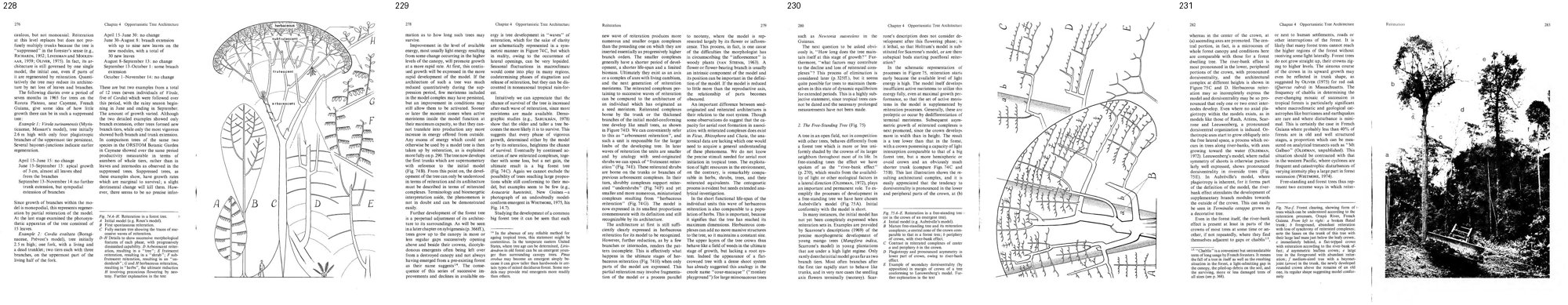 books/trees/tmp/hR.jpg