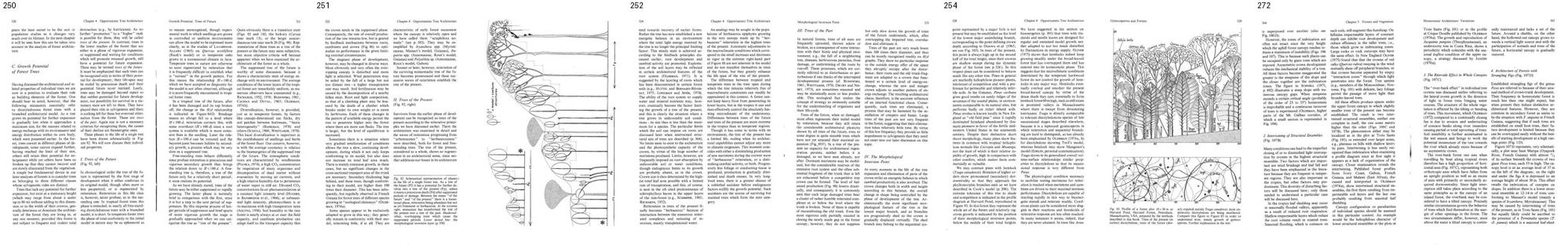 books/trees/tmp/hF.jpg