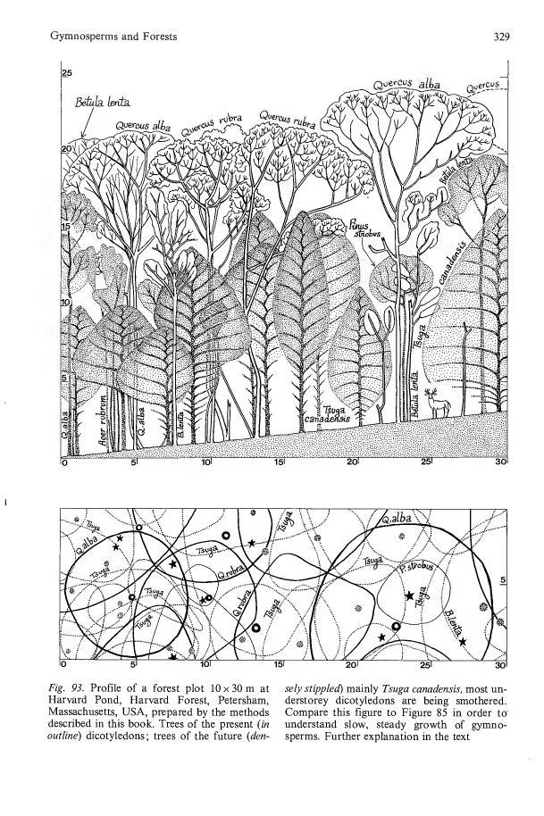books/trees/tmp/hc254.jpg