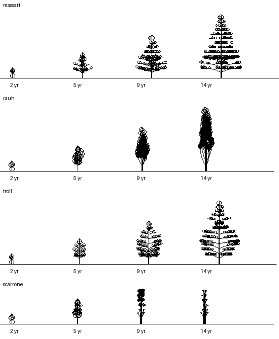 books/trees/ex1_models/v1_keycopy.png