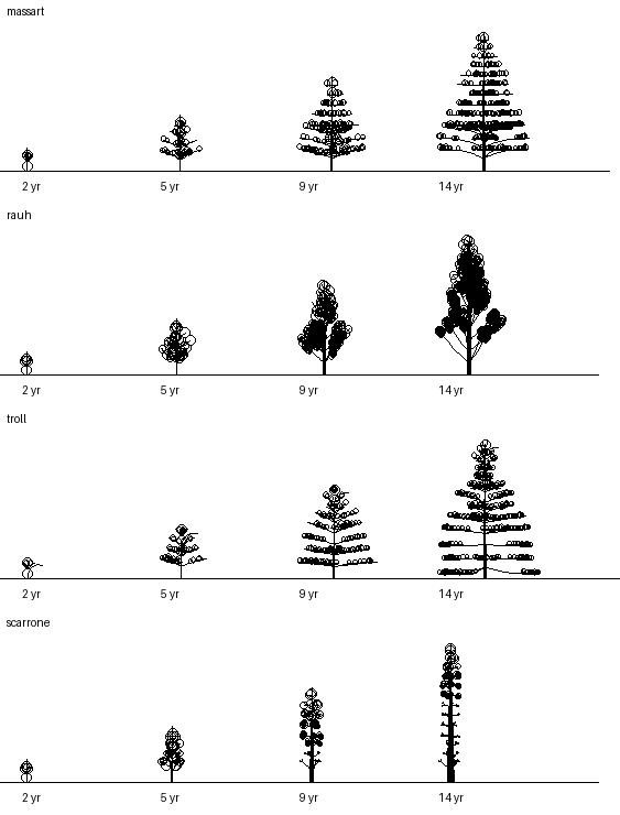 books/trees/ex1_models/v1_keycopy.png