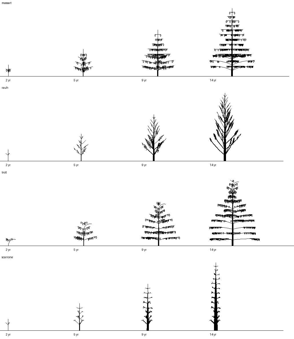 books/trees/ex1_models/v1_keycopy.png