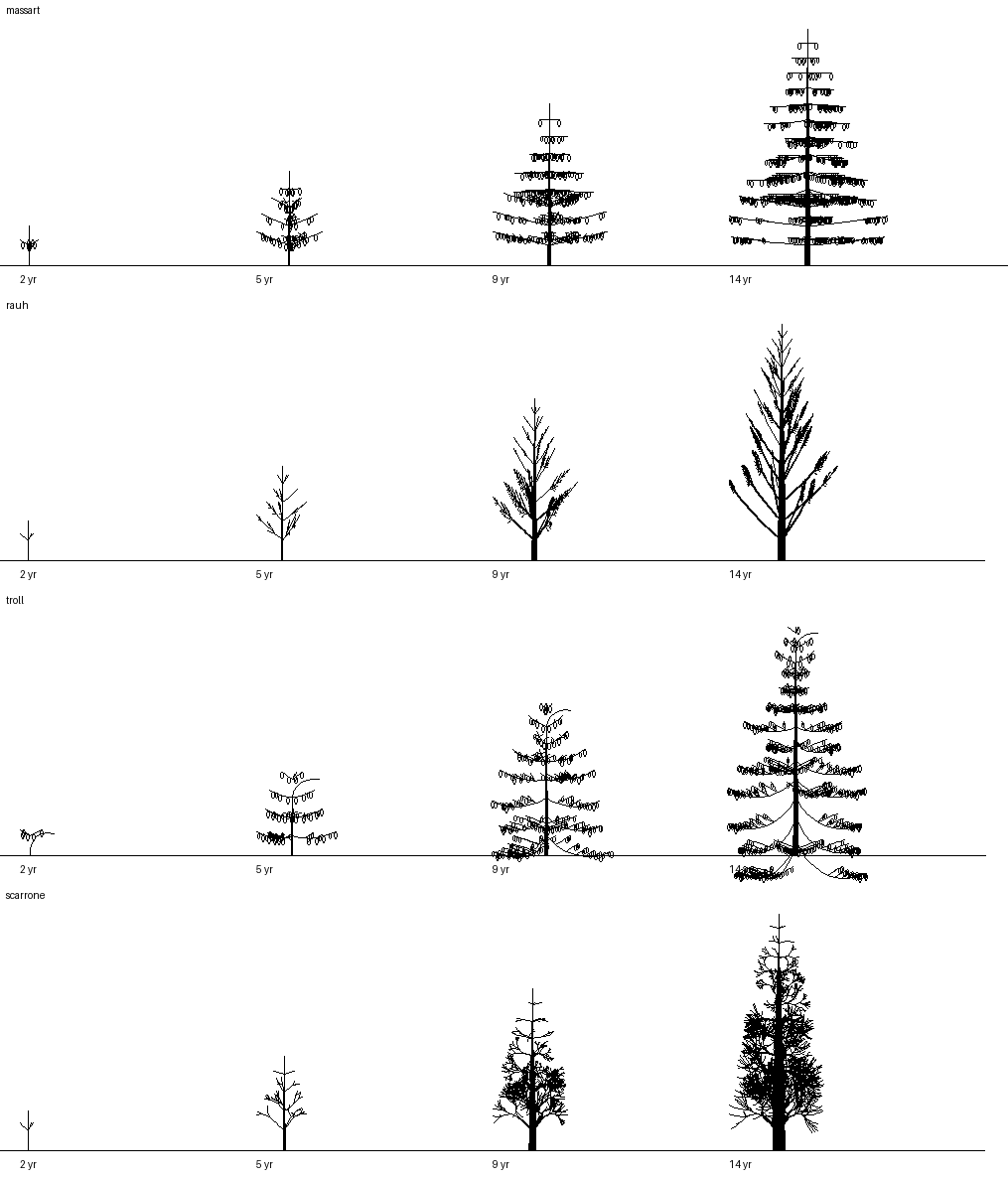 books/trees/ex1_models/v1_keycopy.png