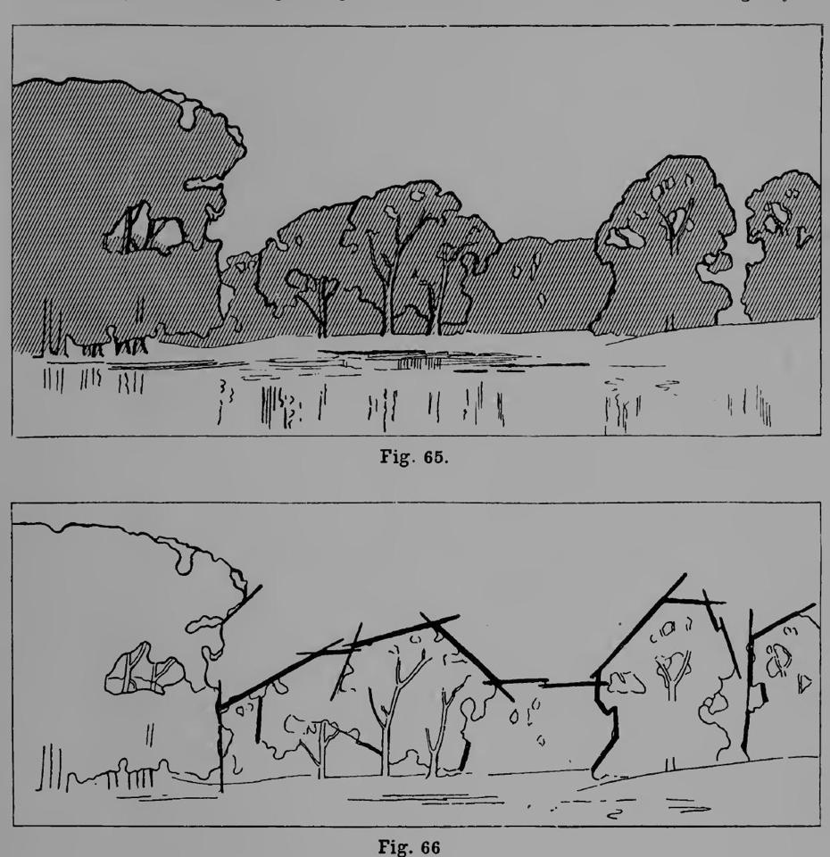books/trees/tmp/c145.jpg