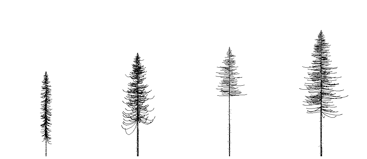 books/trees/work/skel.png